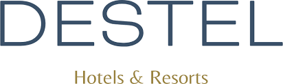 logo Destel